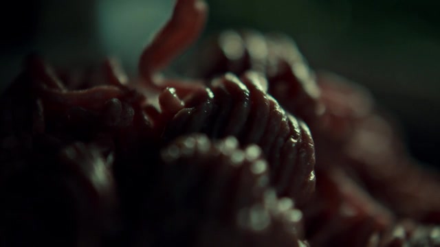 Hannibal II - Tome-Wan - ep. 12 - poster