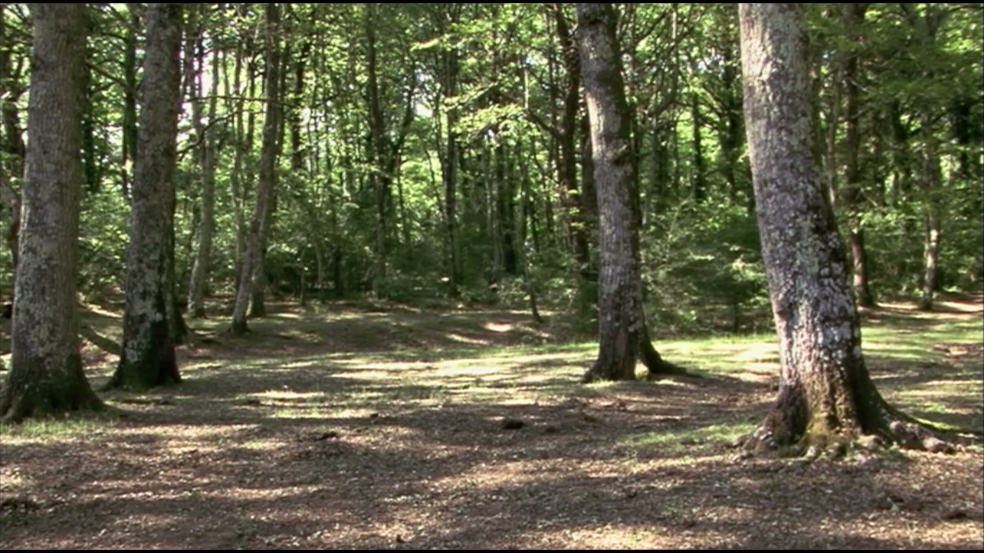 Elisa di Rivombrosa | Stagione 1 - Episodio 1 - poster